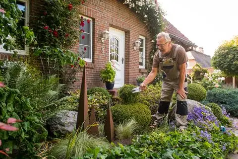 Verbrauchertipp Gartenplanung hält Kosten in Grenzen
